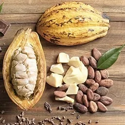 Unt de nucă de cocos și unt de cacao